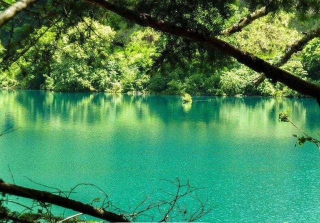 000属龙女的名字带什么字好，2000龙命"