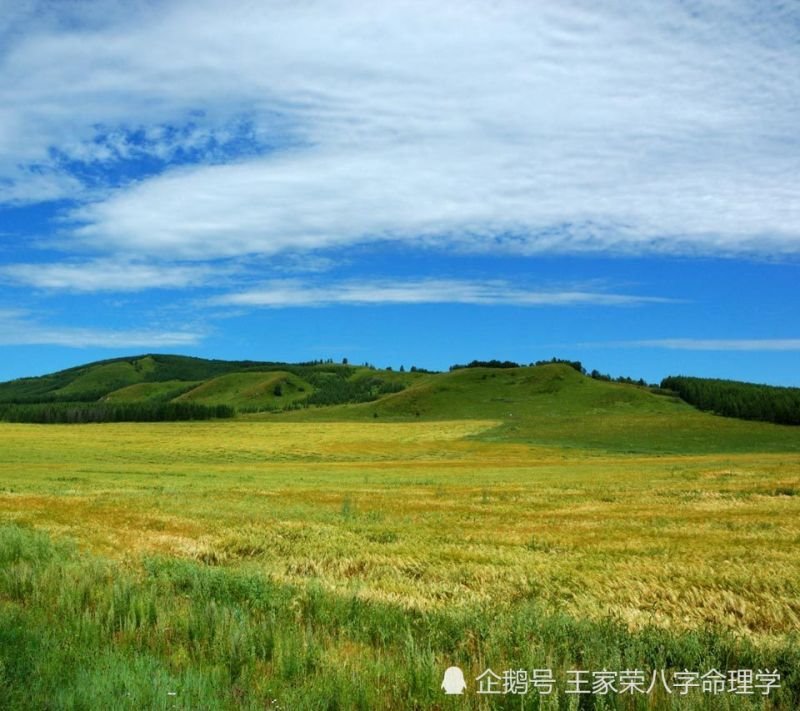 属龙2022年运势及运,属龙白羊座2022年运势