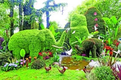 994年七月狗是什么命，94年狗七月二十六生日好不好"