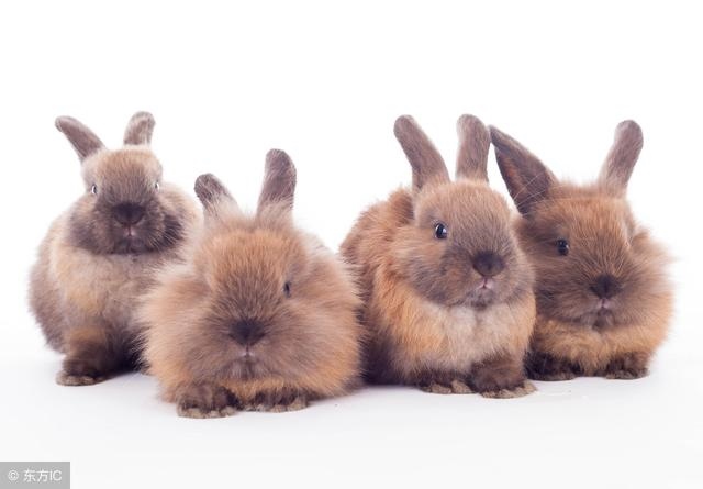 属蛇人32岁大劫，属蛇一生大劫年