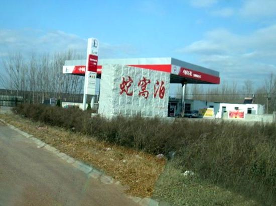 小蛇之一凶打一生肖，小蛇旺夫打一生肖