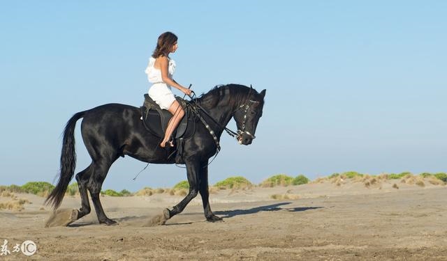 8年属马佩戴什么旺财,属马佩戴什么招财转运"