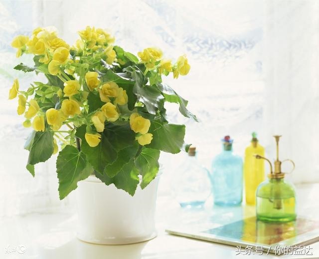 女人戴什么招财最灵验，求财运最灵的 ***