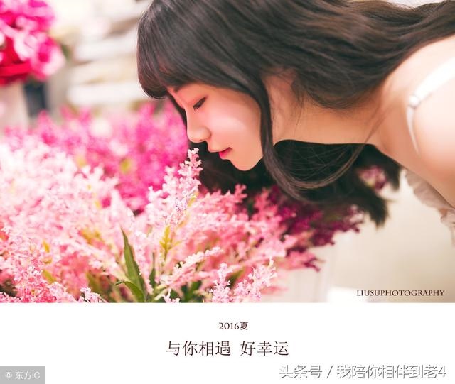 今年属兔的幸运颜色是什么颜色，今年属狗的幸运颜色是什么色