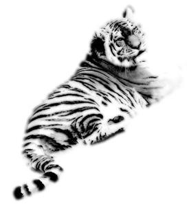 喜欢就要占有的生肖男,不爱原配爱小三星座男