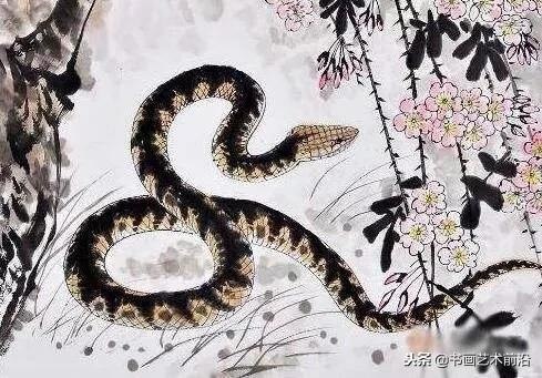 5年属蛇人今天财运,十二生肖与人生运势"