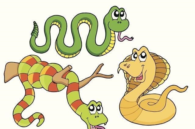 蛇跟什么生肖最配,属蛇的和什么属相最配婚姻