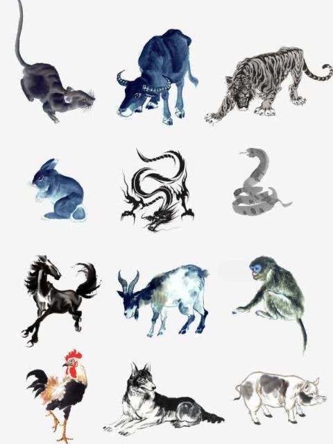 属鼠忌讳什么属相，属牛忌讳什么属相