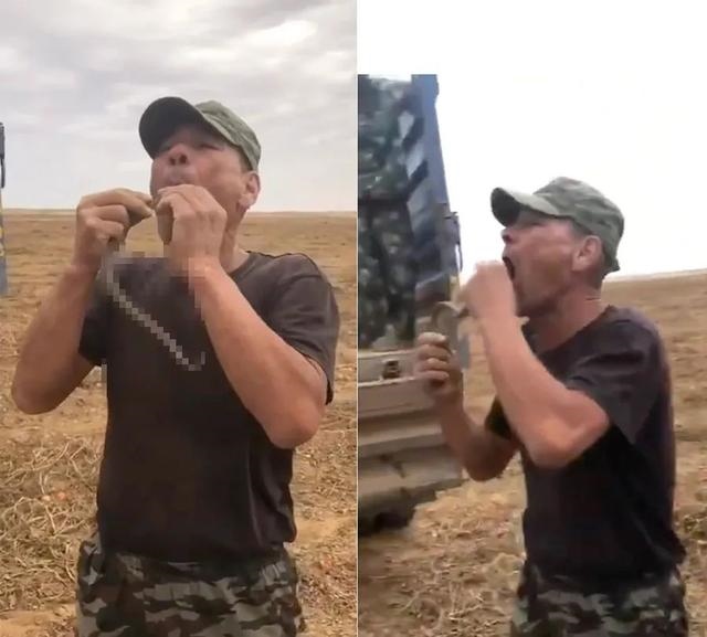 吃过蛇的人命都不好，发际线低的人命不好么