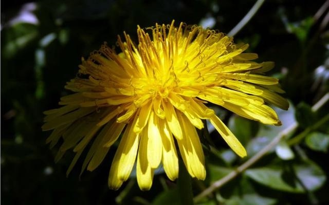 974属虎命晚年很苦，1974属虎今年运势"