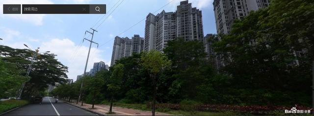 属蛇的人养什么宠物好，蛇的人比较喜欢养什么宠物