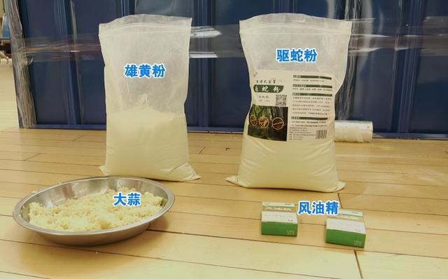 属蛇的人养什么宠物好，蛇的人比较喜欢养什么宠物