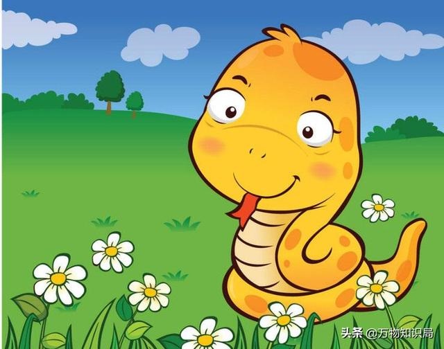 蛇和蛇在一起好吗，千万别娶属蛇的女人