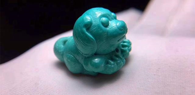 属蛇的人养仓鼠好不好，家里养仓鼠好吗