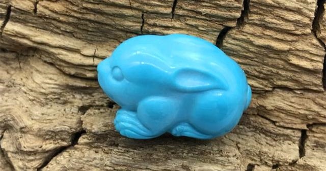 属蛇的人养仓鼠好不好，家里养仓鼠好吗