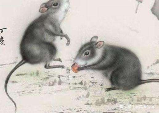 8年男鼠2022年每月运势,鼠人遇虎年2022每月运势如何"