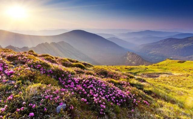 最有本事的生肖狗，真的十狗九富吗