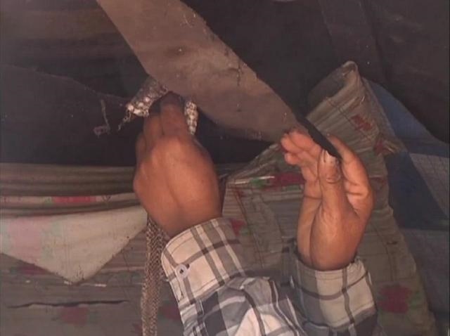 属蛇男睡了你之后，属蛇男想要的爱情