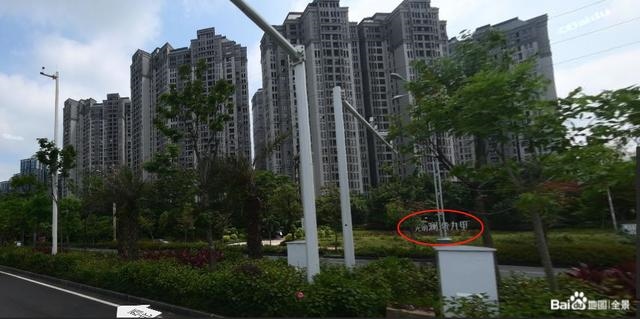 属蛇的人养什么宠物好，蛇的人比较喜欢养什么宠物