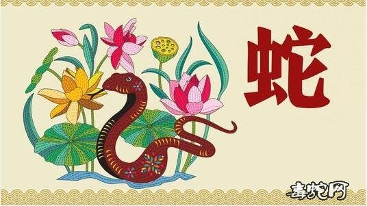 女属蛇婚配哪个属相更好，属蛇的女人和哪个属相最配