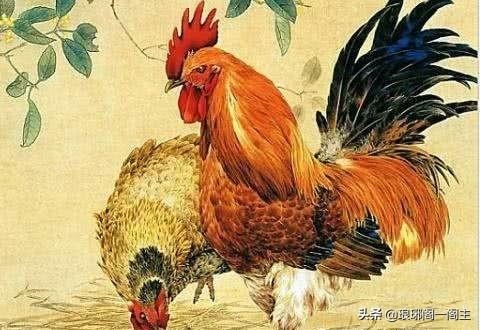 请问属龙是多少年出生的，龙年是哪几年