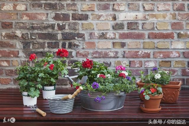 女人戴什么招财最灵验，求财运最灵的 ***