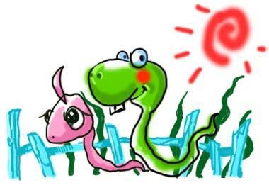 女2001年属蛇的婚配，2001年11月13日属蛇女婚配