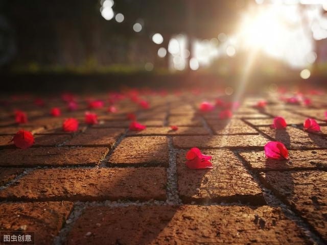 塔罗牌在线占卜免费测试，免费算个人感情婚姻