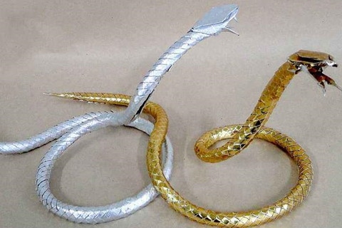 属蛇寿命79岁，属蛇今年几岁2022