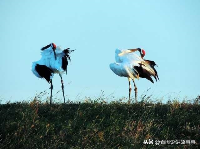 属蛇人出生什么时辰更好，哪个时辰出生的人更好命最富贵