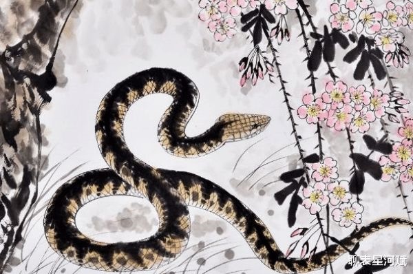 属蛇今年多少岁了，属猴2022 年多少岁