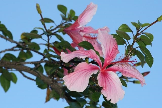 022年金牛座运势完整版，2022年最倒霉的生肖女"