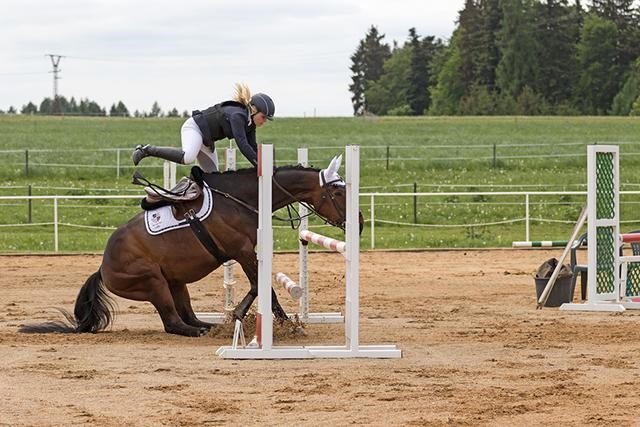 马怕蛇还是蛇怕马，马跟蛇结婚相冲吗