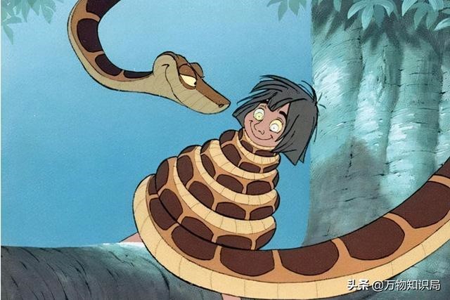 蛇和蛇在一起好吗，千万别娶属蛇的女人
