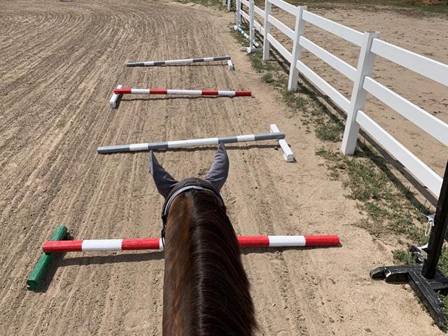 马怕蛇还是蛇怕马，马跟蛇结婚相冲吗