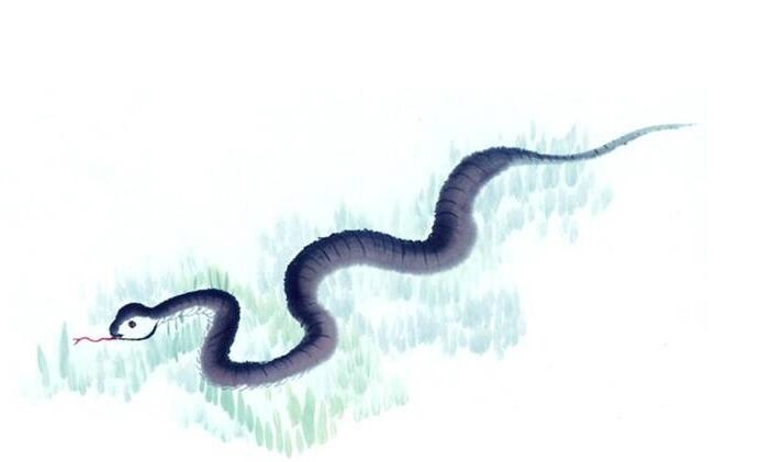 属蛇的五行都是火吗，1997年属牛五行属什么