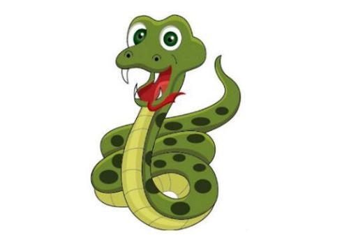 属蛇的有多少岁了,属蛇今年多大岁数2022 年