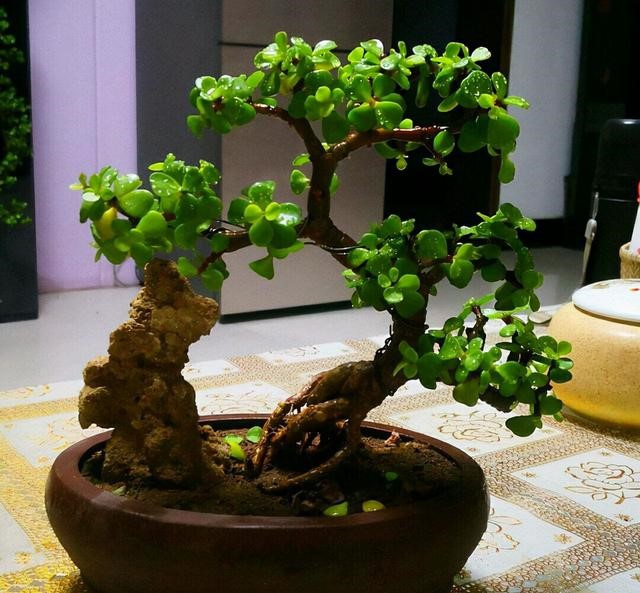 女人最吉祥招财的名字，非常旺财的微信名女人