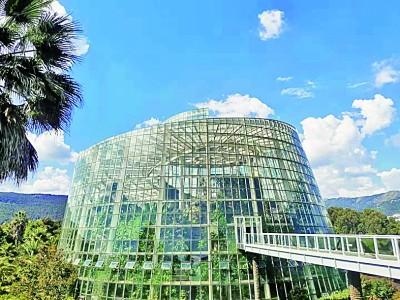 994年七月狗是什么命，94年狗七月二十六生日好不好"