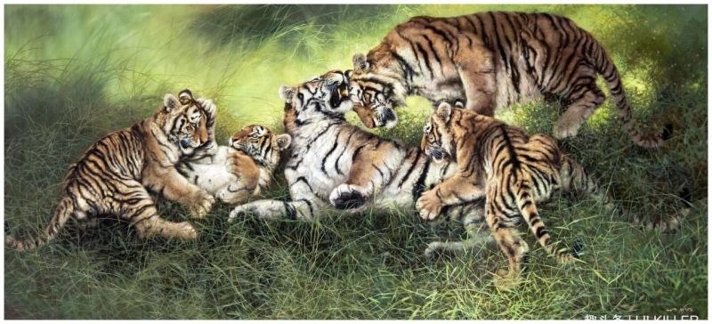 属虎哪年出生的，50多岁属虎的是哪一年的