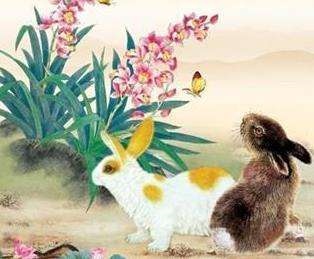 夫妻搭配更好的生肖，十二生肖更佳搭配的夫妻组合