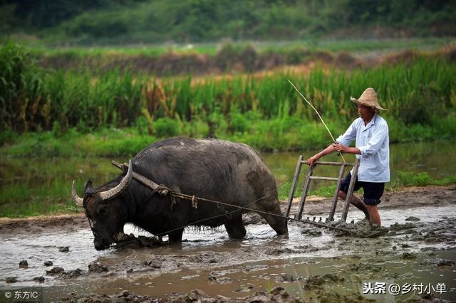 022年属兔百年难遇，2023年属兔百年难遇"