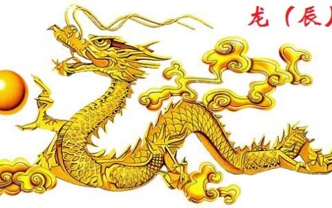 龙2022年运势及运程每月运程，肖龙2022年全年运势1976年出生