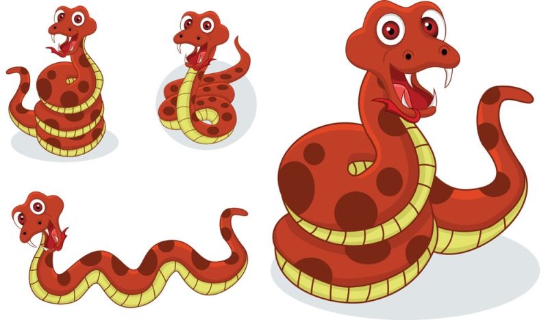 女羊跟男蛇相配吗,1991属羊女跟属蛇男