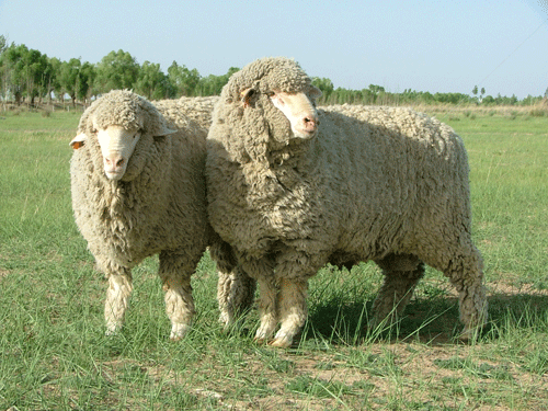 属兔人永久吉利的数字,生辰八字五行查询