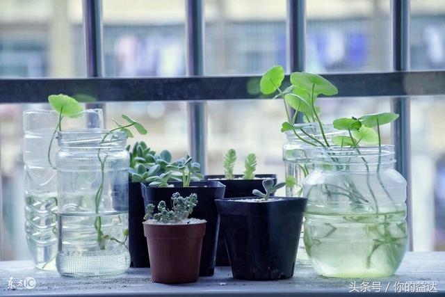 女人戴什么招财最灵验，求财运最灵的 ***