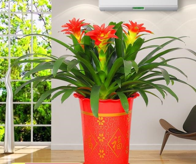 女人最吉祥招财的名字，非常旺财的微信名女人