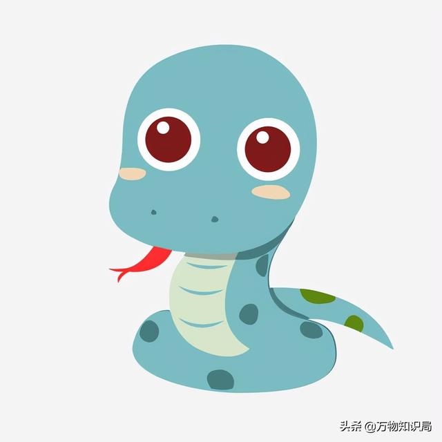 蛇和蛇在一起好吗，千万别娶属蛇的女人