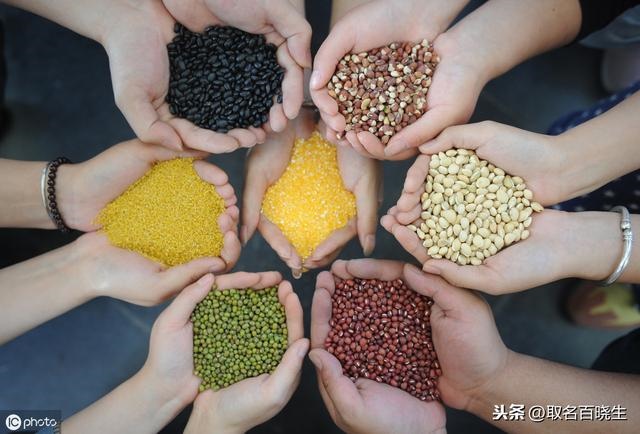 属蛇的五行属什么比较好，属蛇的五行相克是什么