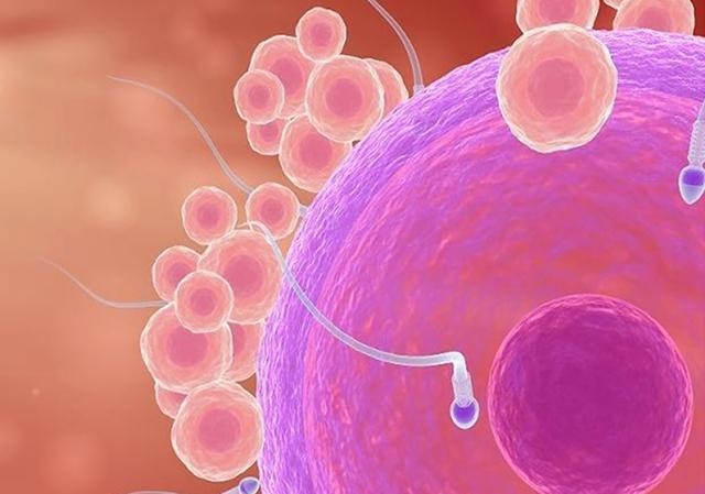 属蛇人适合生虎宝宝吗，有属蛇的生虎宝宝吗